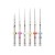soco-sc-plus-1.jpg