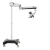 C-CLEAR-1.1-700x700.png