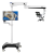 C-CLEAR-1.1.1png-700x700.png