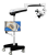 356.png